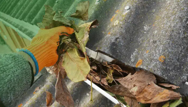 Banner image for: Gutter Debris Removal